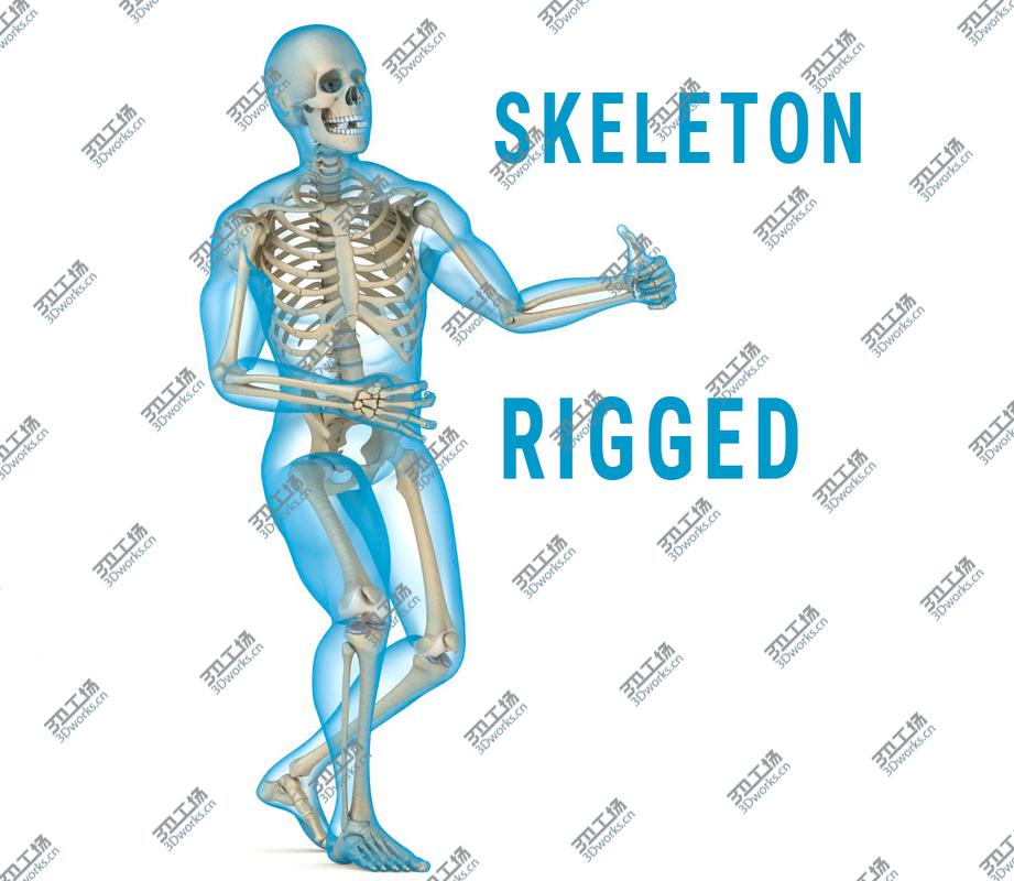images/goods_img/202105072/Human Skeleton and body (Rigged)/1.jpg